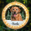 Custom Photo Every Day Is A Holiday With You By My Side - Dog & Cat Personalized Custom LED Pendant Light Ornament - Christmas Gift For Pet Owners, Pet Lovers