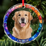 Custom Pet Photo Christmas Gifts - Personalized Glass Ornament
