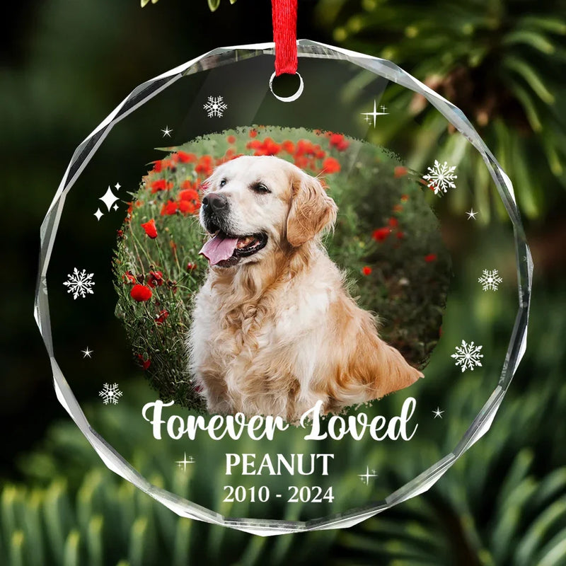 Custom Photo Forever Loved You, Always In My Heart - Memorial Personalized Custom Circle Glass Ornament - Sympathy Gift, Christmas Gift For Pet Owners, Pet Lovers