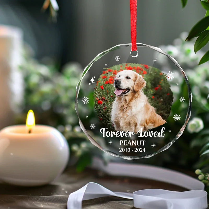 Custom Photo Forever Loved You, Always In My Heart - Memorial Personalized Custom Circle Glass Ornament - Sympathy Gift, Christmas Gift For Pet Owners, Pet Lovers