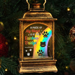 Custom Rainbow Bridge Pet Memorial Gifts - Personalized Wind Lamp