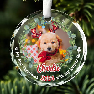 Custom Photo Celebrate Christmas With Furry Friends - Dog & Cat Personalized Custom Circle Glass Ornament - New Arrival, Christmas Gift For Pet Owners, Pet Lovers, First Christmas AMZ