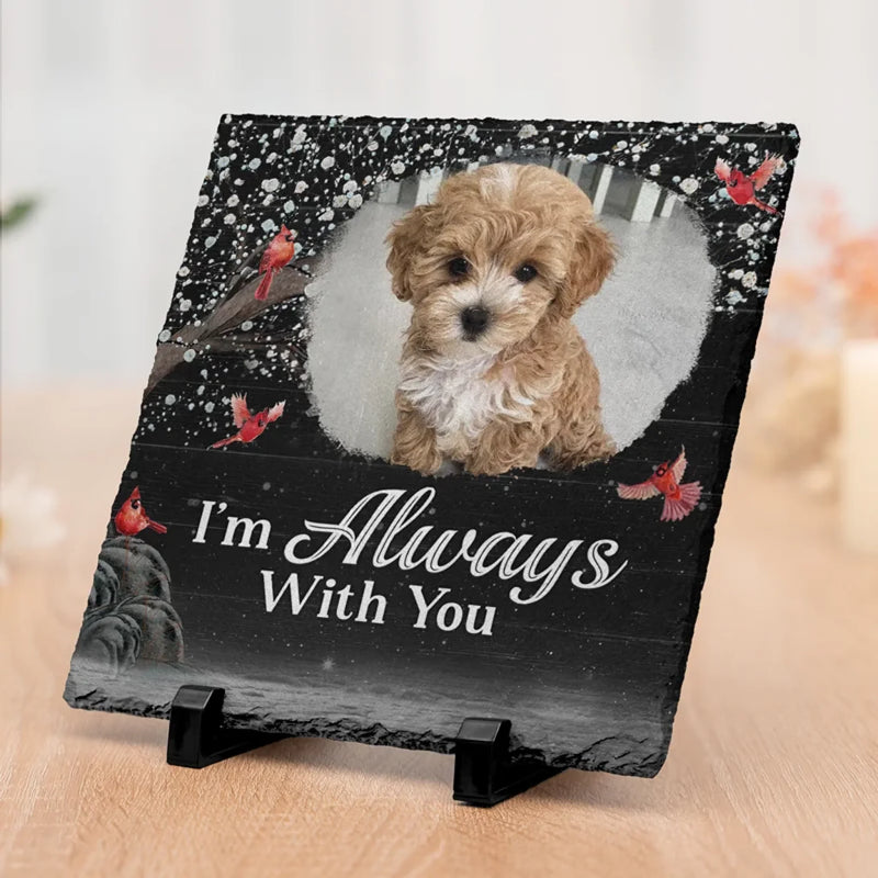 Custom Photo My Angel With Paws - Memorial Personalized Custom Square Shaped Stone With Stand - Sympathy Gift For Pet Owners, Pet Lovers