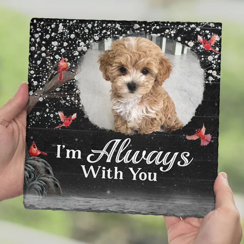 Custom Photo My Angel With Paws - Memorial Personalized Custom Square Shaped Stone With Stand - Sympathy Gift For Pet Owners, Pet Lovers