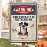 Custom Name Dog Warning Property Decor - Personalized Metal Sign