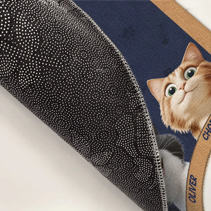 Please Close The Door, The Cat Has Plans - Cat Personalized Custom Home Decor Decorative Mat - House Warming Gift For Pet Owners, Pet Lovers