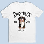 Property Of My Dog - Dog Personalized Custom Unisex T-shirt, Premium T-shirt, Hoodie - Gift For Dog Lovers, Pet Owners