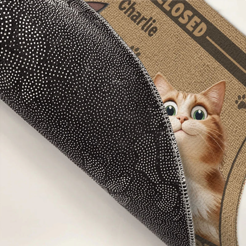 Don’t Let The Cat Fool You - Cat Personalized Custom Home Decor Decorative Mat - House Warming Gift For Pet Owners, Pet Lovers