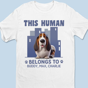 This Human Belongs To Me And That Is Final - Dog Personalized Custom Unisex T-shirt, Premium T-shirt, Hoodie - Gift For Pet Owners, Pet Lovers