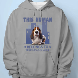 This Human Belongs To Me And That Is Final - Dog Personalized Custom Unisex T-shirt, Premium T-shirt, Hoodie - Gift For Pet Owners, Pet Lovers