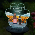 You Were My Favorite Hello And My Hardest Goodbye - Memorial Personalized Custom Garden Solar Light - Sympathy Gift For Pet Owners, Pet Lovers