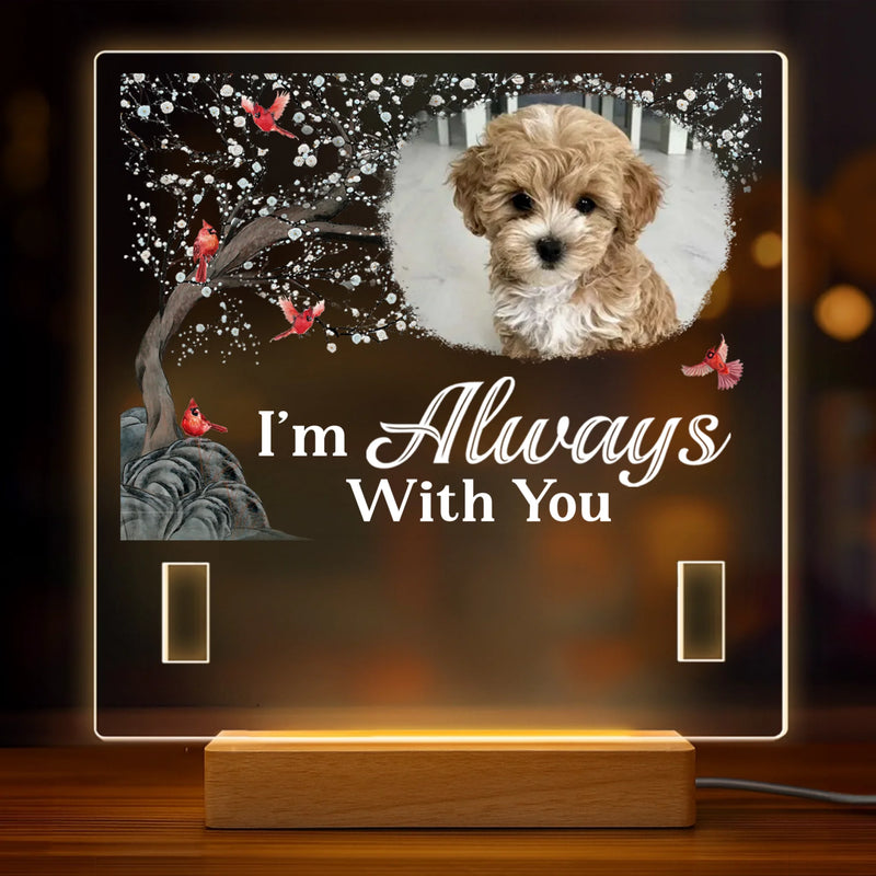 Custom Photo I'm Always With You - Memorial Personalized Custom Pet Loss Memorial Light - Sympathy Gift For Pet Owners, Pet Lovers