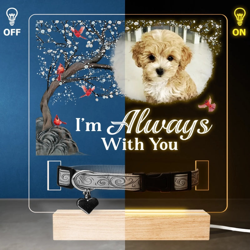 Custom Photo I'm Always With You - Memorial Personalized Custom Pet Loss Memorial Light - Sympathy Gift For Pet Owners, Pet Lovers