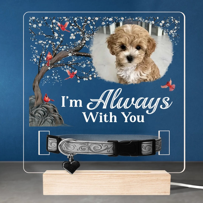 Custom Photo I'm Always With You - Memorial Personalized Custom Pet Loss Memorial Light - Sympathy Gift For Pet Owners, Pet Lovers
