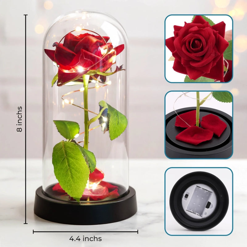 Custom Light Up Eternal Rose In Glass Dome - Personalized Anniversary Wedding Gifts For Husband And Wife, Him And Her - Couple Vibes, Rose Edition