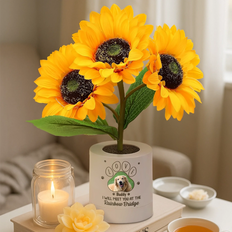 Custom Photo Sunflower Lamp Night Light - Personalized Pet Memorial Gifts For Dogs, Cats - I Will Meet You At The Rainbow Bridge