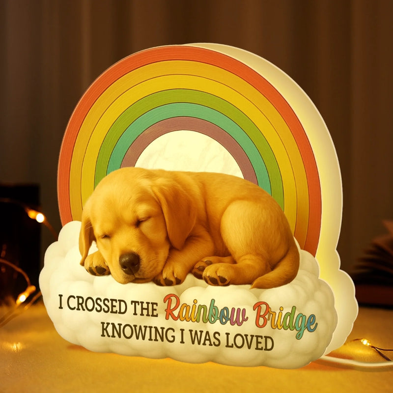 Custom Photo Shaped Light Box - Personalized Pet Memorial Gifts For Dogs, Cats - I’ll Meet You At The Rainbow Bridge