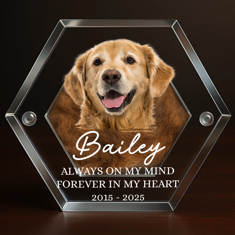 Custom Photo Pet Fur Keepsake - Personalized Pet Memorial Gifts For Dogs - Always In My Heart