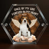 Custom Photo Acrylic Pet Fur Keepsake Box - Personalized Pet Memorial Sympathy Gifts For Dogs, Cats - Always With Me In Loving Memory