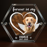 Custom Photo Acrylic Pet Fur Keepsake Box - Personalized Pet Memorial Sympathy Gifts For Dogs, Cats - Forever Loved, Forever Missed