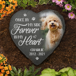 Custom Photo You Would Have Lived Forever - Memorial Personalized Custom Memorial Stone - New Arrival, Sympathy Gift, Gift For Dog Lovers, Pet Owners AMZ