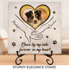 Custom Photo The Paw Prints You Left Will Stay Forever - Memorial Personalized Custom Square Shaped Stone With Stand - Sympathy Gift For Pet Owners, Pet Lovers