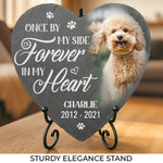 Custom Photo You Would Have Lived Forever - Memorial Personalized Custom Memorial Stone - New Arrival, Sympathy Gift, Gift For Dog Lovers, Pet Owners AMZ