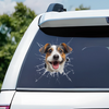 Custom Photo RV Decal - Personalized Birthday Gifts For Dog Cat Lovers, Dog Dad And Mom, Cat Owners - Too Cool To Stay Inside
