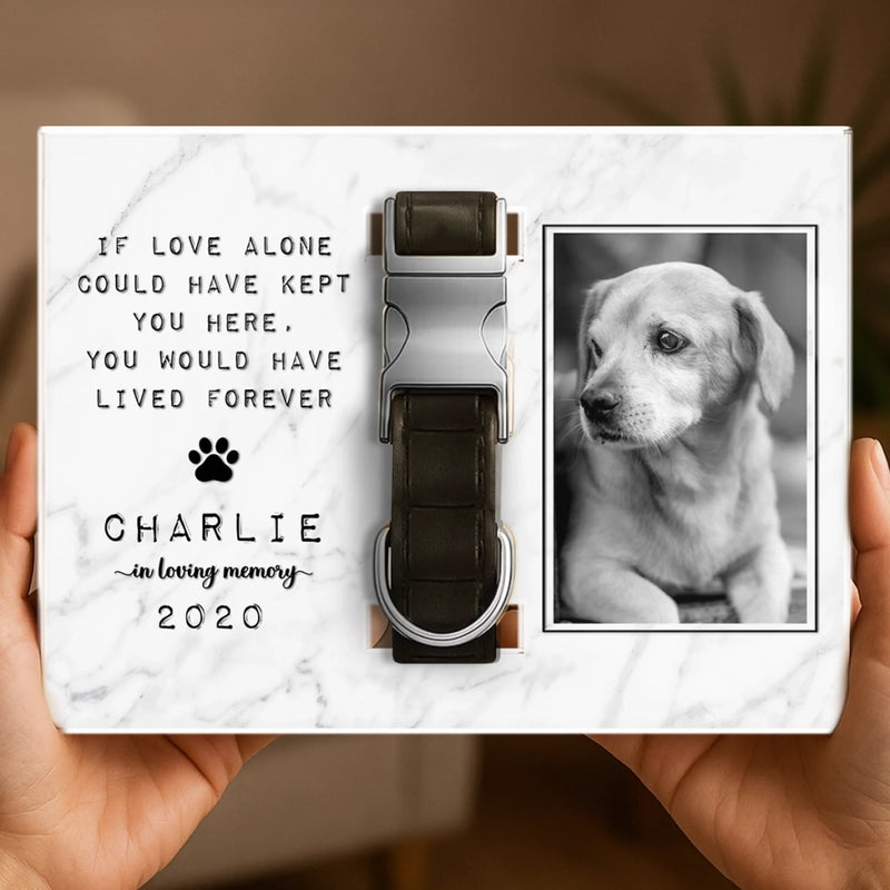 Custom Photo Collar Plaque With Stand - Personalized Pet Memorial Sympathy Gifts For Dogs, Cats - Until We Meet Again In Heaven