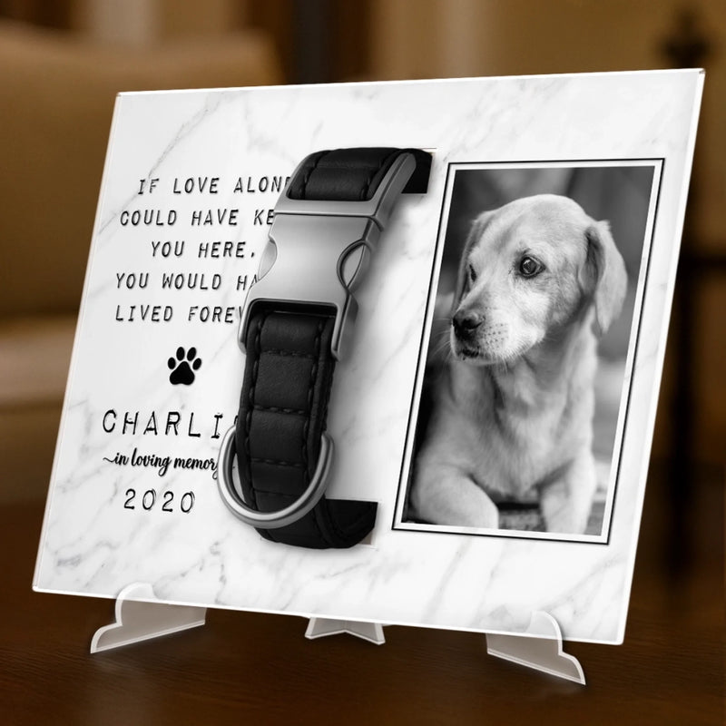 Custom Photo Collar Plaque With Stand - Personalized Pet Memorial Sympathy Gifts For Dogs, Cats - Until We Meet Again In Heaven