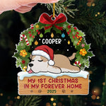 First Paws Under The Tree - Dog & Cat Personalized Custom Ornament - Acrylic Custom Shaped - Christmas Gift For Pet Owners, Pet Lovers, First Christmas