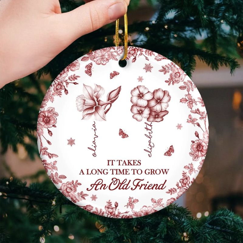 Custom Ceramic Ornament - Personalized Best Friend Birthday Gifts For Women, Besties, Sisters, BFF - True Friendship Grows With Time
