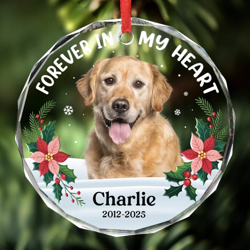 Custom Photo Circle Glass Ornament - Personalized Pet Memorial Sympathy Gifts For Dogs, Cats - Gone But Never Forgotten