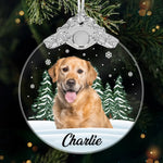 Custom Photo Glass Ornament - Personalized Pet Christmas Memorial Sympathy Gifts For Dogs, Cats - Always In My Heart