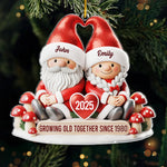 Custom Acrylic Ornament - Personalized Anniversary Christmas Wedding Gifts For Husband And Wife, Him And Her - My Happily Ever Gnome