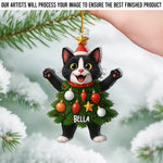 Custom Photo Acrylic Ornament - Personalized Christmas Birthday Gifts For Cat Lovers, Cat Owners - Festive Fur Real