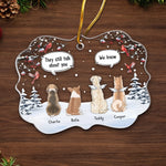 Custom Acrylic Ornament - Personalized Pet Christmas Memorial Sympathy Gifts For Dog Lovers, Pet Parents - Companion Friend Family Forever