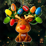 Custom Acrylic Ornament - Personalized Christmas Birthday Gifts For Mom, Dad, Kids - Our Reindeer Crew