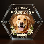 Custom Photo Acrylic Pet Fur Keepsake Box - Personalized Pet Memorial Sympathy Gifts For Dogs, Cats - Forever In My Heart