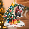 Custom Acrylic Ornament - Personalized Christmas Birthday Gifts For Cat Lovers, Cat Mom And Dad - Santa Claws Is Coming