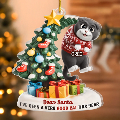 Custom Acrylic Ornament - Personalized Christmas Birthday Gifts For Cat Lovers, Cat Mom And Dad - Santa Claws Is Coming