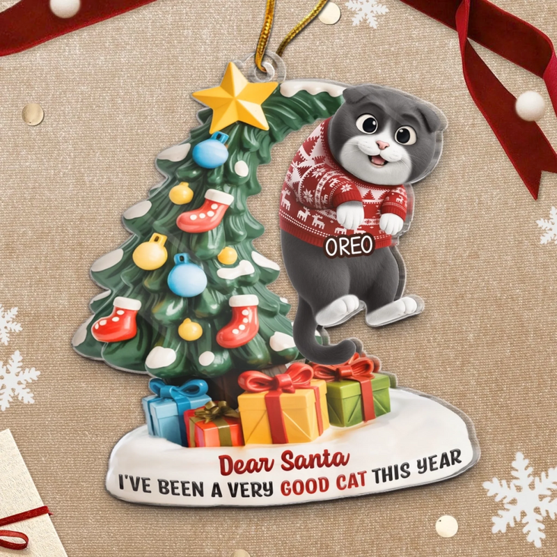 Custom Acrylic Ornament - Personalized Christmas Birthday Gifts For Cat Lovers, Cat Mom And Dad - Santa Claws Is Coming