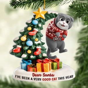 Custom Acrylic Ornament - Personalized Christmas Birthday Gifts For Cat Lovers, Cat Mom And Dad - Santa Claws Is Coming