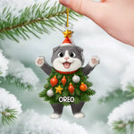 Custom Name Christmas Cat Gifts for Cat Lovers - Personalized Ornament