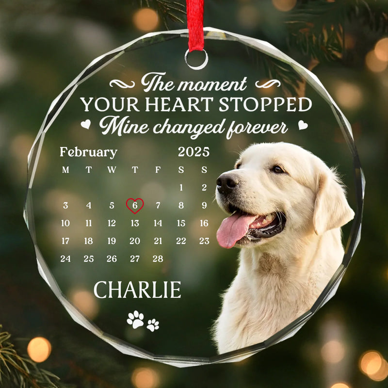 Custom Photo Circle Glass Ornament - Personalized Pet Christmas Memorial Sympathy Gifts For Dogs, Cats - Cherished Paws Forever In Our Hearts