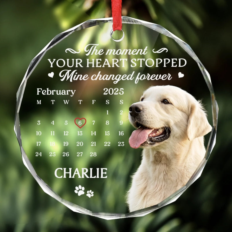 Custom Photo Circle Glass Ornament - Personalized Pet Christmas Memorial Sympathy Gifts For Dogs, Cats - Cherished Paws Forever In Our Hearts