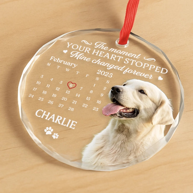 Custom Photo Circle Glass Ornament - Personalized Pet Christmas Memorial Sympathy Gifts For Dogs, Cats - Cherished Paws Forever In Our Hearts