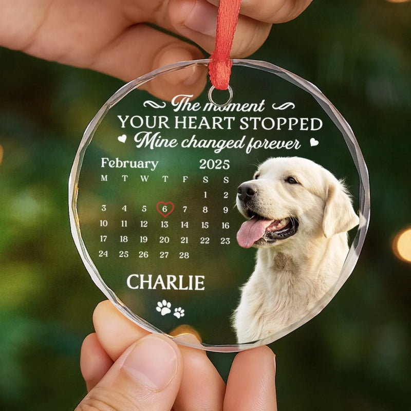 Custom Photo Circle Glass Ornament - Personalized Pet Christmas Memorial Sympathy Gifts For Dogs, Cats - Cherished Paws Forever In Our Hearts