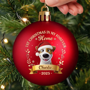 RBO-MQ0506_thumb2-sang