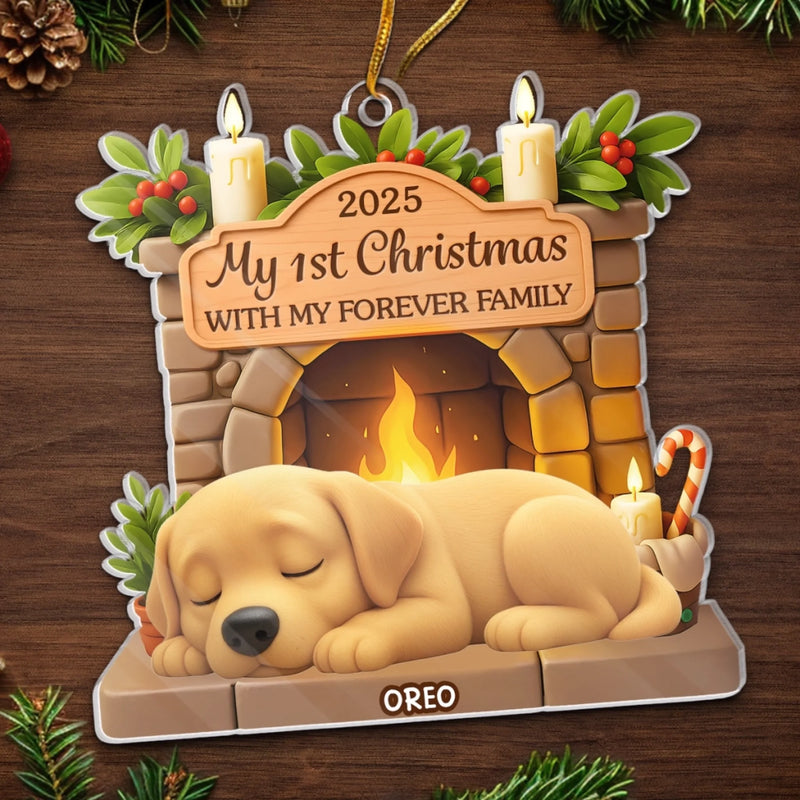 Custom First Christmas Acrylic Ornament - Personalized Christmas Birthday Gifts For Dog Lovers, Dog Dad And Mom - Home Is Where Dog Is